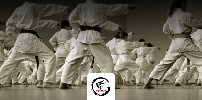 Empi Dojo: come allargare la rete di contatti con il Marketing Digitale